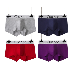Home men's premium boxer